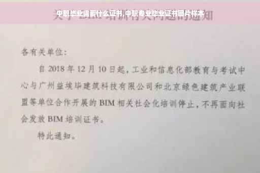 中职毕业需要什么证书,中职专业毕业证书图片样本