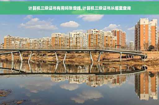 计算机三级证书有用吗张雪峰,计算机三级证书从哪里查询