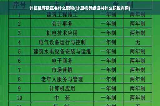计算机等级证书什么职称(计算机等级证书什么职称有用)