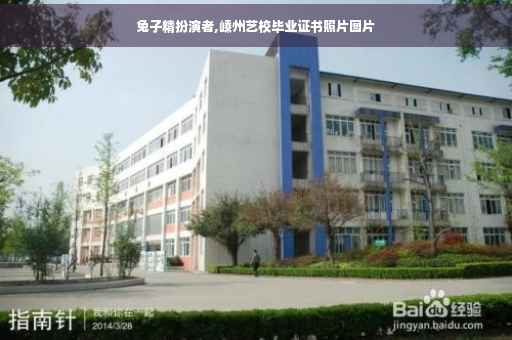 兔子精扮演者,嵊州艺校毕业证书照片图片