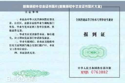 新集镇初中毕业证书图片(新集镇初中毕业证书图片大全)