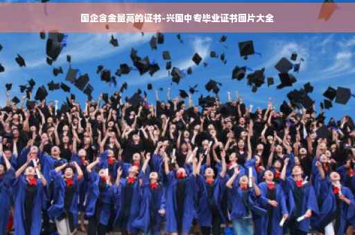 国企含金量高的证书-兴国中专毕业证书图片大全