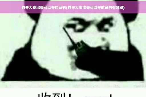 自考大专出来可以考的证书(自考大专出来可以考的证书有哪些)
