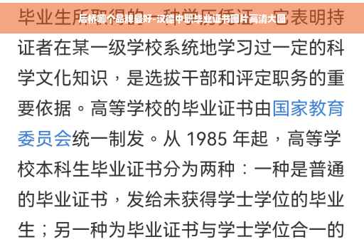 后桥哪个品牌最好-汉德中职毕业证书图片高清大图