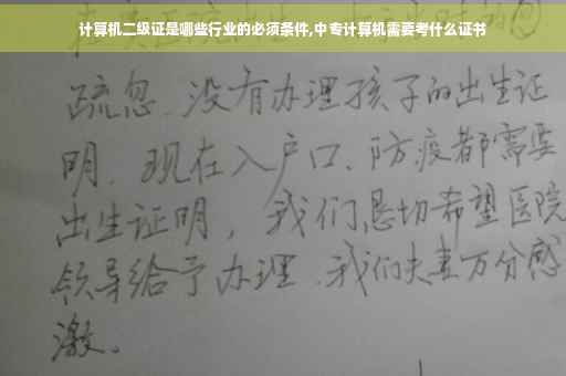 计算机二级证是哪些行业的必须条件,中专计算机需要考什么证书