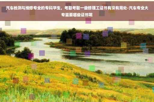 汽车检测与维修专业的专科学生，考取考取一些修理工证书有没有用处-汽车专业大专需要哪些证书呢