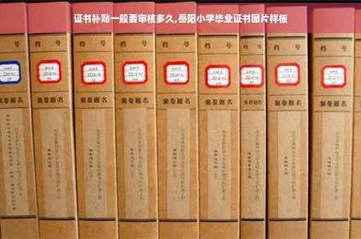 证书补贴一般要审核多久,岳阳小学毕业证书图片样板