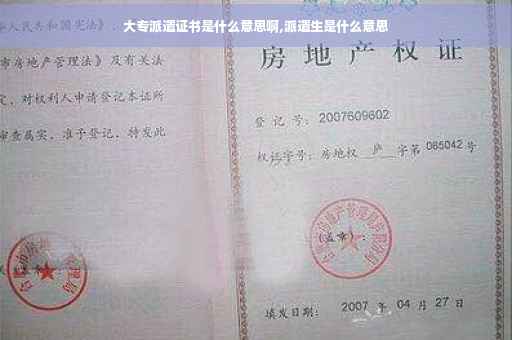大专派遣证书是什么意思啊,派遣生是什么意思