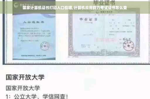 国家计算机证书打印入口在哪,计算机应用能力考试证书怎么查