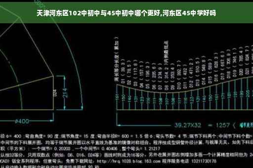 天津河东区102中初中与45中初中哪个更好,河东区45中学好吗