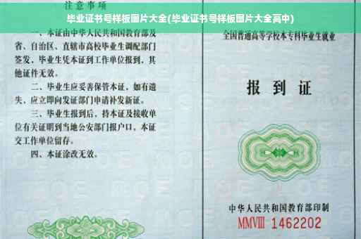 毕业证书号样板图片大全(毕业证书号样板图片大全高中)