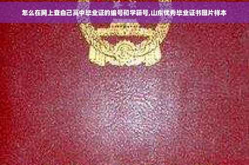 怎么在网上查自己高中毕业证的编号和学籍号,山东优秀毕业证书图片样本