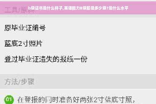 b级证书是什么样子,英语能力B级即是多少级?是什么水平