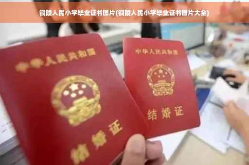 铜陵人民小学毕业证书图片(铜陵人民小学毕业证书图片大全)