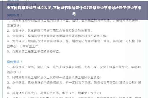 小学网课毕业证书图片大全,学历证书编号是什么?是毕业证书编号还是学位证书编号