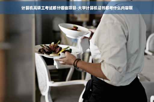 计算机高级工考试都分哪些项目-大学计算机证书都考什么内容啊