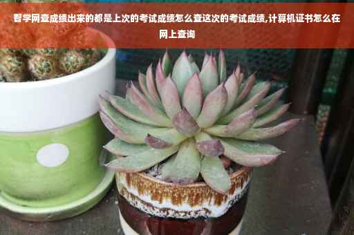 智学网查成绩出来的都是上次的考试成绩怎么查这次的考试成绩,计算机证书怎么在网上查询