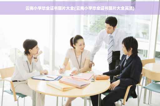 云南小学毕业证书图片大全(云南小学毕业证书图片大全高清)