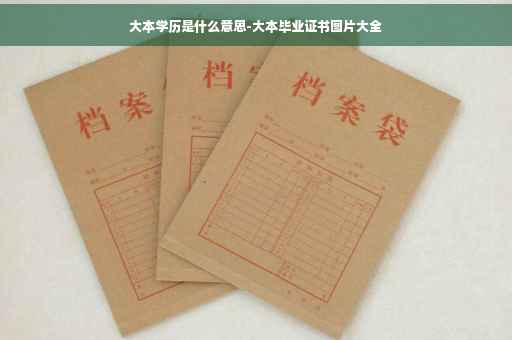 大本学历是什么意思-大本毕业证书图片大全
