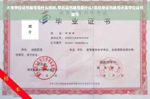 大专学位证书编号是什么样的,学历证书编号是什么?是毕业证书编号还是学位证书编号