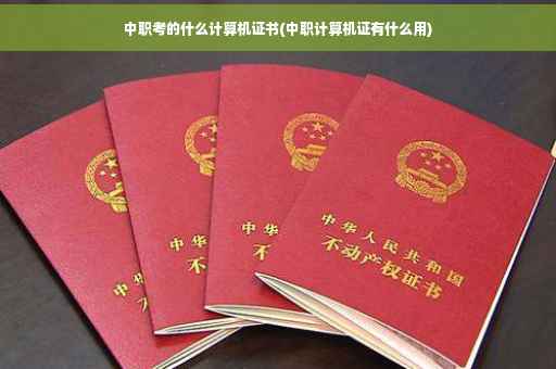 中职考的什么计算机证书(中职计算机证有什么用)