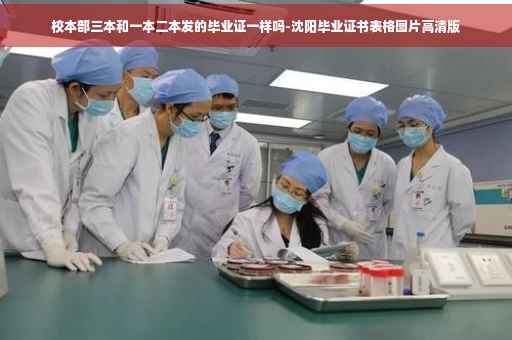 校本部三本和一本二本发的毕业证一样吗-沈阳毕业证书表格图片高清版