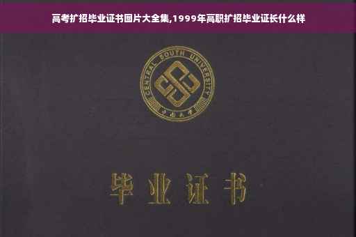 高考扩招毕业证书图片大全集,1999年高职扩招毕业证长什么样