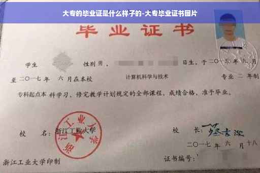 大专的毕业证是什么样子的-大专毕业证书图片