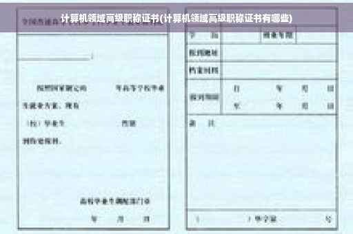 计算机领域高级职称证书(计算机领域高级职称证书有哪些)