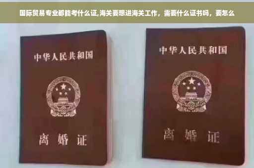 国际贸易专业都能考什么证,海关要想进海关工作，需要什么证书吗，要怎么