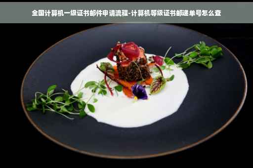 全国计算机一级证书邮件申请流程-计算机等级证书邮递单号怎么查