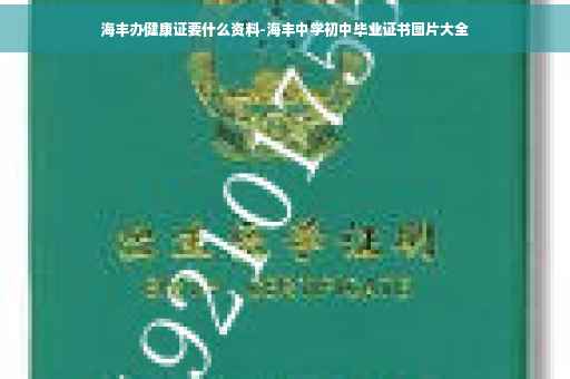 海丰办健康证要什么资料-海丰中学初中毕业证书图片大全