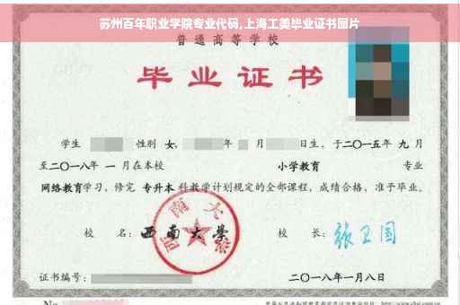 苏州百年职业学院专业代码,上海工美毕业证书图片