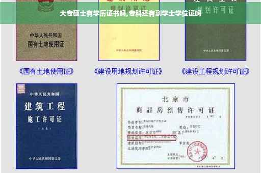 大专硕士有学历证书吗,专科还有副学士学位证吗