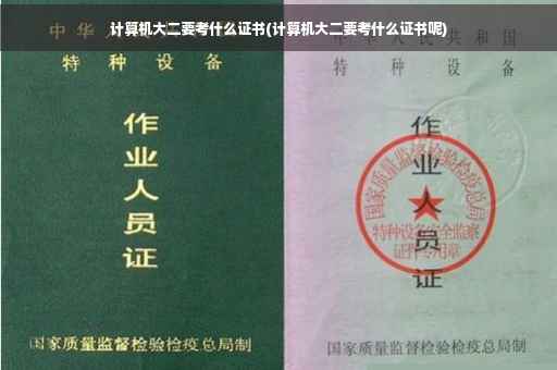 计算机大二要考什么证书(计算机大二要考什么证书呢)