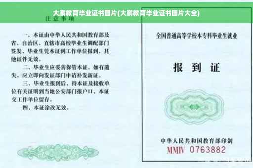 大鹏教育毕业证书图片(大鹏教育毕业证书图片大全)