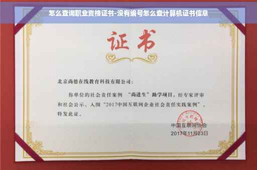 怎么查询职业资格证书-没有编号怎么查计算机证书信息
