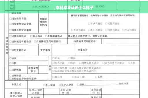 ,本科毕业证长什么样子