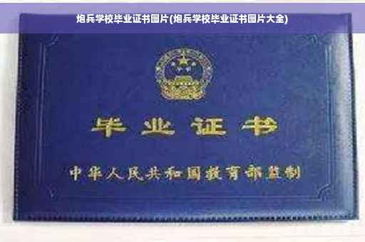 炮兵学校毕业证书图片(炮兵学校毕业证书图片大全)