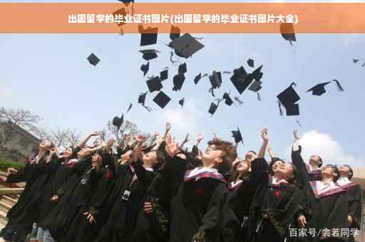 出国留学的毕业证书图片(出国留学的毕业证书图片大全)
