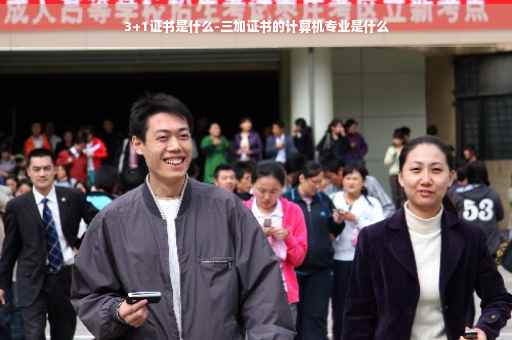 3+1证书是什么-三加证书的计算机专业是什么
