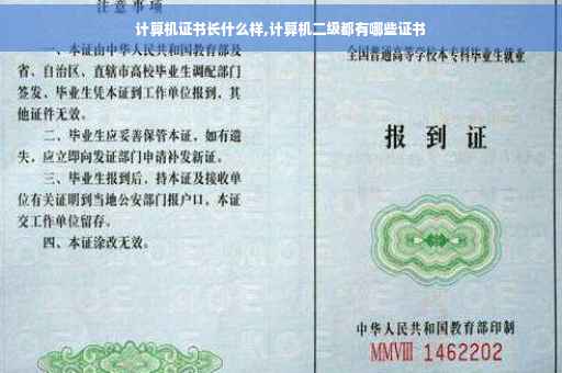 计算机证书长什么样,计算机二级都有哪些证书