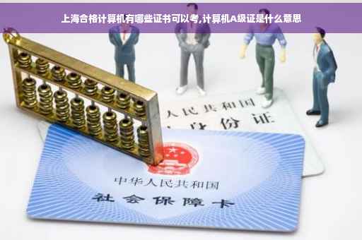 上海合格计算机有哪些证书可以考,计算机A级证是什么意思
