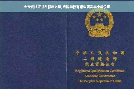 大专资格证书名称怎么填,专科学校有哪些要发学士学位证