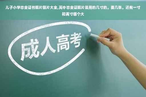 儿子小学毕业证书照片图片大全,高中毕业证照片是用的几寸的。要几张。还有一寸和两寸哪个大