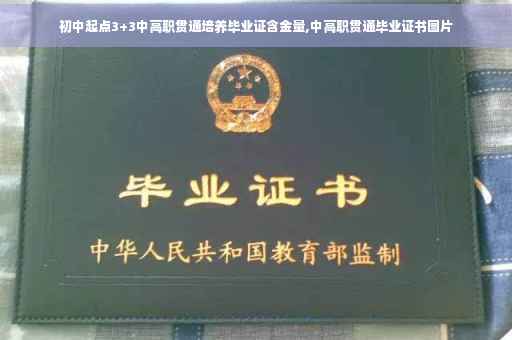 初中起点3+3中高职贯通培养毕业证含金量,中高职贯通毕业证书图片