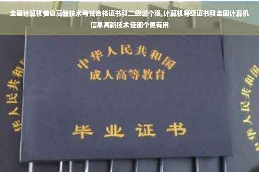 全国计算机信息高新技术考试合格证书和二级哪个强,计算机等级证书和全国计算机信息高新技术证那个更有用