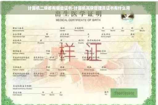 计算机二级都有哪些证书-计算机高级管理员证书有什么用