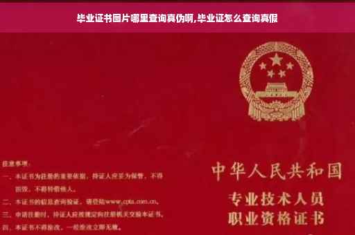 毕业证书图片哪里查询真伪啊,毕业证怎么查询真假