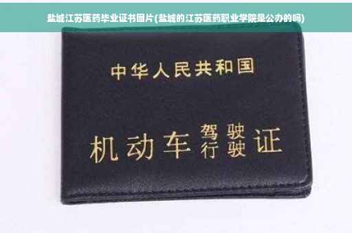 盐城江苏医药毕业证书图片(盐城的江苏医药职业学院是公办的吗)